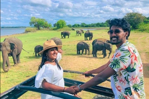 Minneriya Morning Jeep Safari